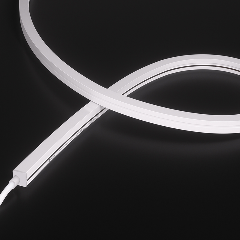 NMS1010-White light-24V(HP)