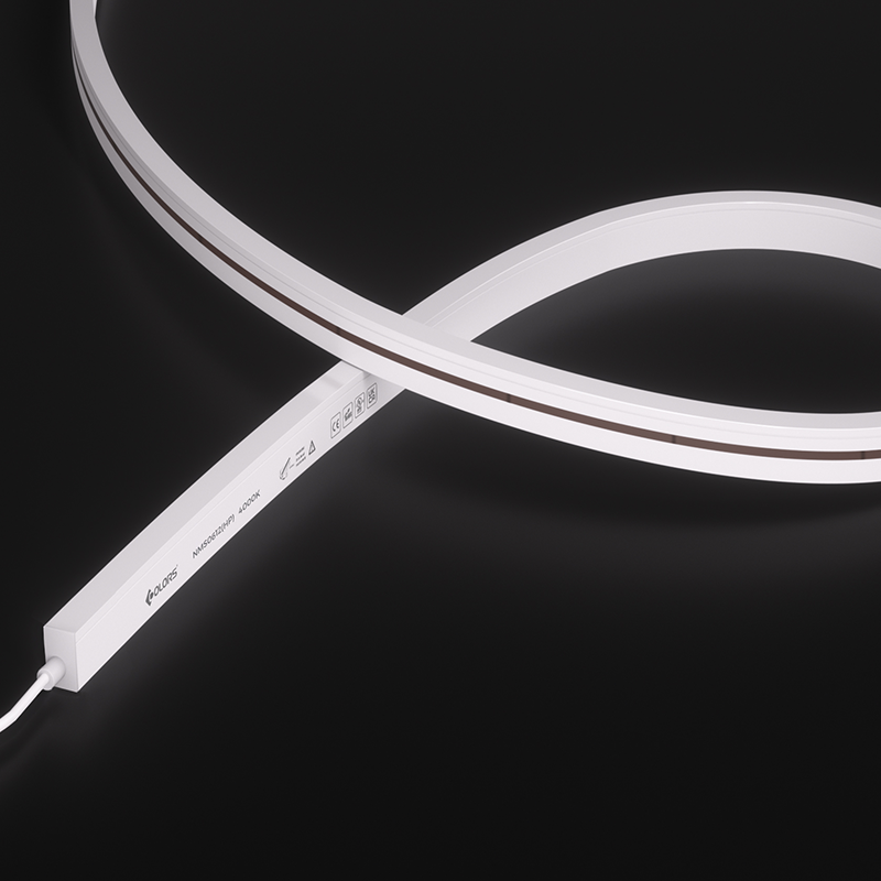 NMS0612-White light-24V(HP)