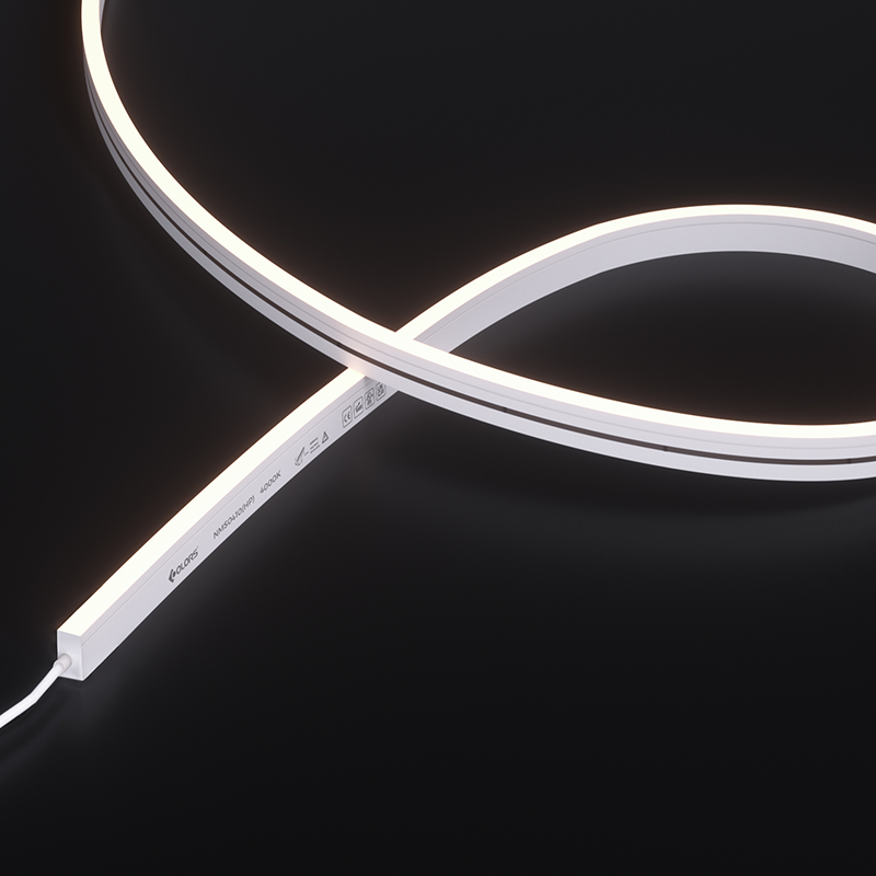 NMS0410-White light-24V(HP)